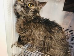 -喵汪宠物生活馆(涞坊路店)