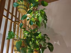-管氏翅吧(国展店)