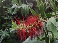 -北京植物园-展览温室