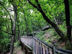 -帽儿山国家森林公园