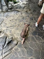 -Zoolung Zoolung动物主题公园(海信广场店)