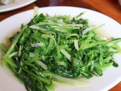 -翕庐小苑
