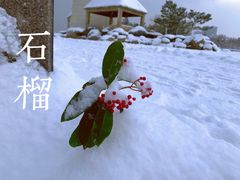 -悦海公园