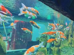 -华谊兄弟（长沙）电影小镇