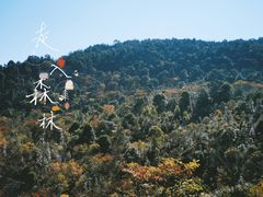 -广州市石门国家森林公园