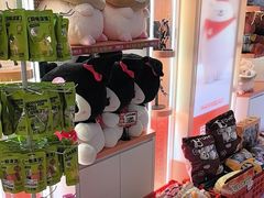 -可爱抓 COCO  GOTCHA(天津鹏欣水游城店)