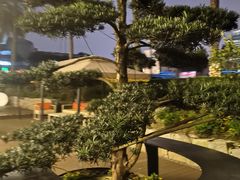 -圣爵菲斯大酒店(长沙世界之窗店)