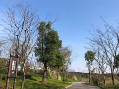 -广富林郊野公园