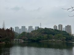 -重庆彩云湖湿地公园