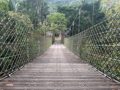 -海南热带雨林国家公园吊罗山景区