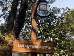 -上海共青森林公园