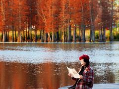 -白鹭湾湿地公园