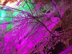 -长春世界雕塑园冰雪艺术天地