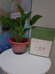 -蓝丝带 催乳 产后恢复中心(狮山龙湖店)