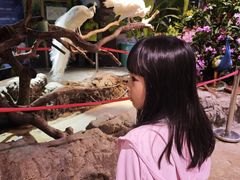 -正佳雨林生态植物园