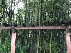 -上海市眼病防治中心(康定路院区)