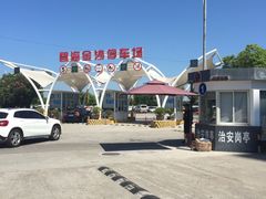 -碧海金沙