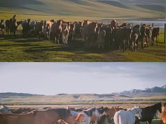 -山丹皇家马场