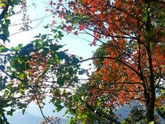 android_upload_pic-广州市石门国家森林公园
