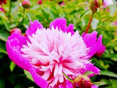 -长春公园(普阳街道)