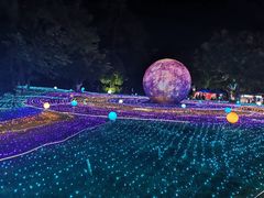 -广西壮族自治区药用植物园