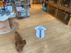 -Pets First伊珊娜洗护·精致美容·家庭式寄养(新会路店)