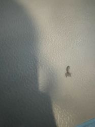 -万达宝贝王(成都锦华店)