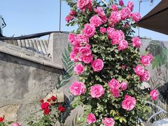 -古耳咖啡(北锣店)