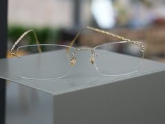 -大视光学•LINDBERG林德伯格•全球手工眼镜集合店(王府井店)