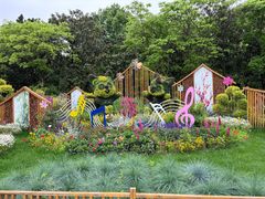 -上海共青森林公园