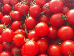 -武汉紫薇都市田园