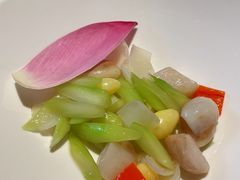 -觀芷隐轩