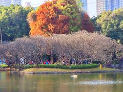 -晓港公园