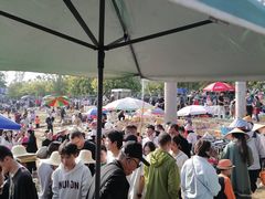 -红树林天天赶海