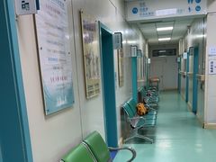 -北京观赏动物医院·24小时大型综合·猫专科·异宠专科