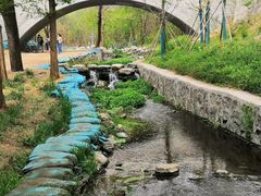 -白水寺森林公园