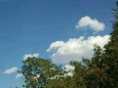 -紫竹院公园冰场