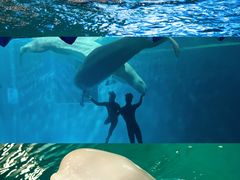 -威海华夏城景区