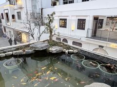 -马头巷·食景园(苏州总店)