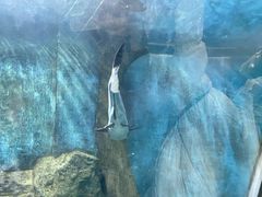 -苏州海洋馆