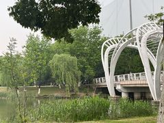 -九里河湿地公园