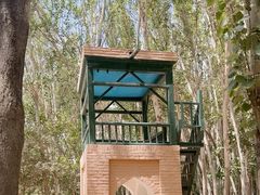 -艾提尕尔清真寺