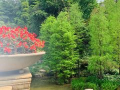 -云溪植物园