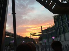 -飞天翼龙