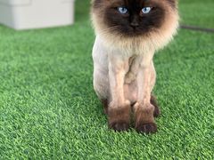 -美家乐农庄·露营·团建(大治路店)