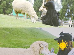-老英格兰庄园