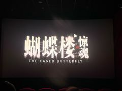 -金棕榈新百世纪影城