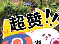 -莫里热带雨林景区