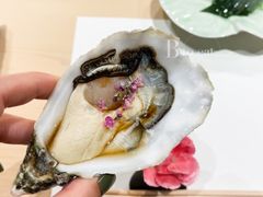 生蚝-鮨一日本料理(大中华店)