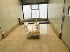 -沈阳森林动物园